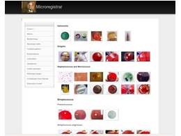 http://www.microregistrar.com/ microregistrar