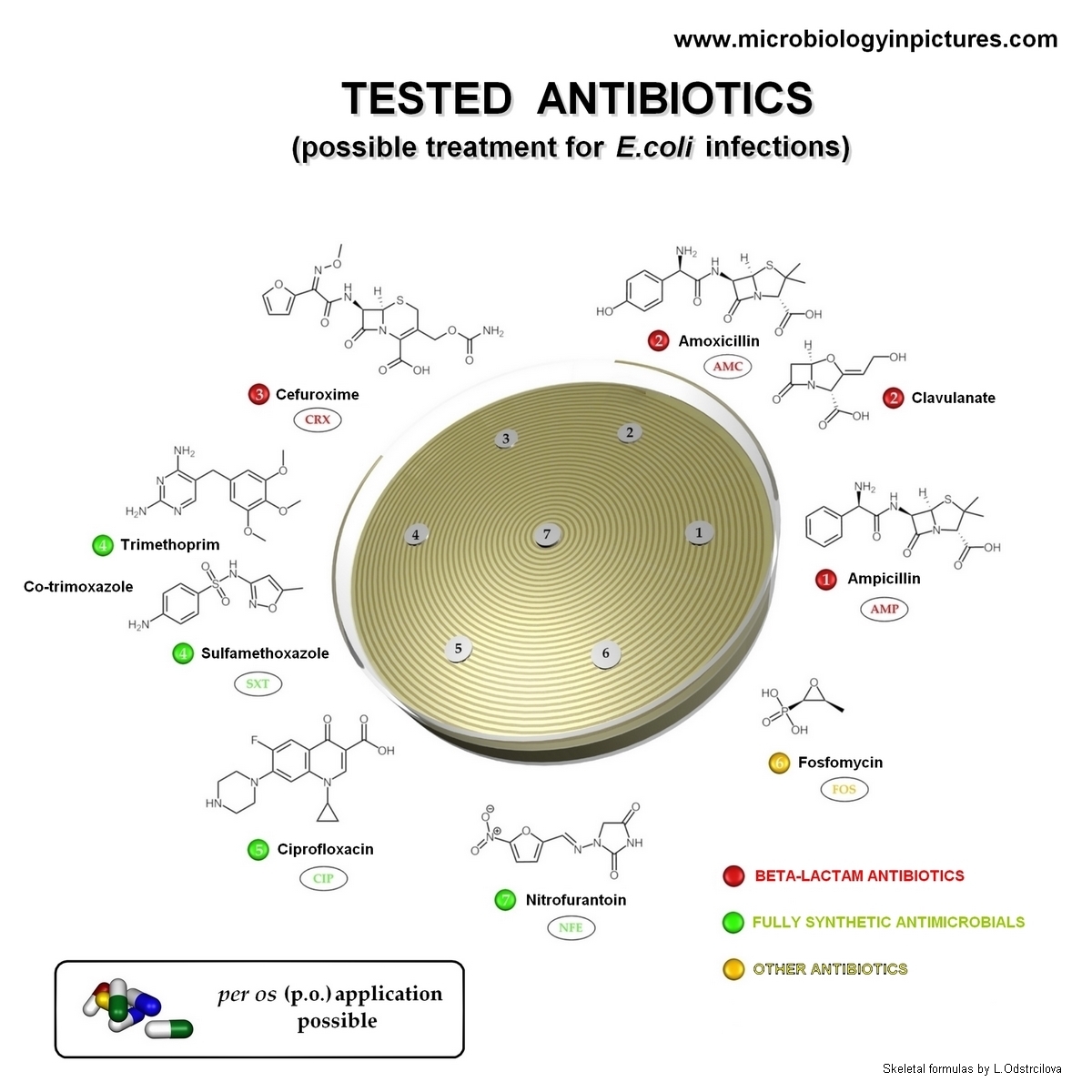 per os available antibiotics