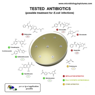 antibiotic structure