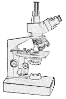 microscope picture