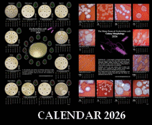 calendar 2026